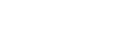 Vision